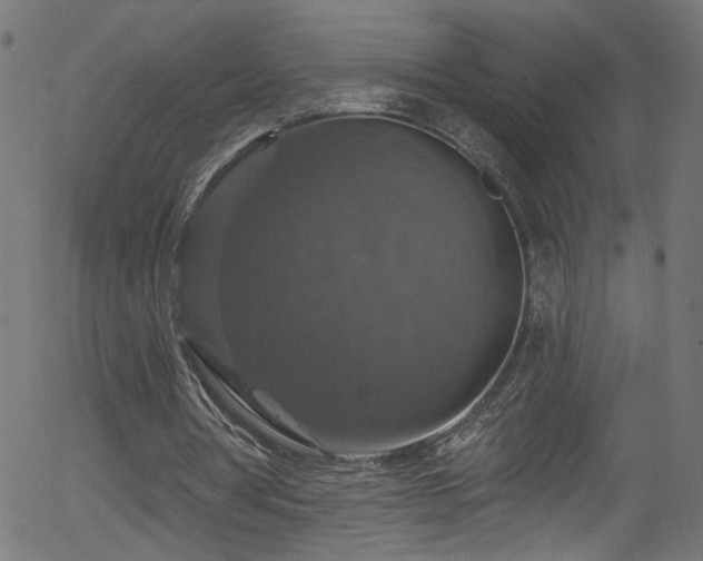 X0000056330386200508291258