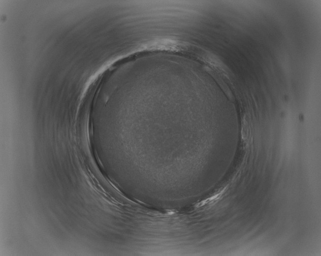 X0000056330388200508291257