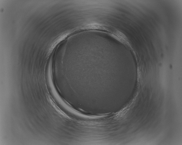 X0000056330389200508291257