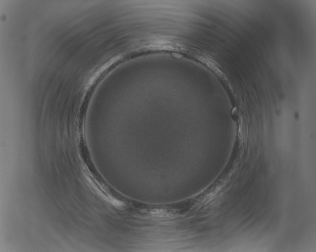 X0000056330390200508291257