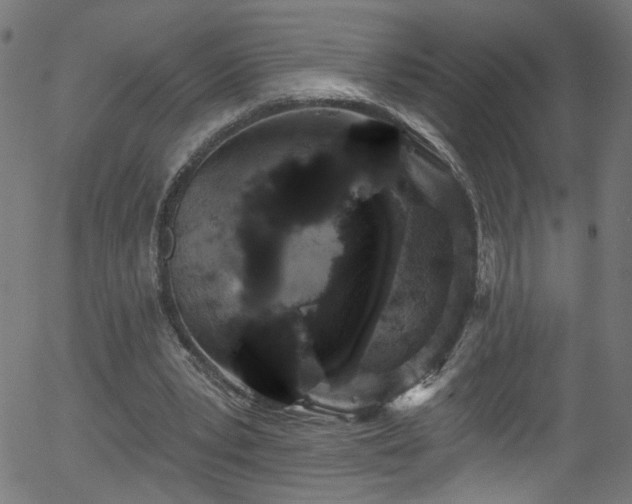 X0000056330391200508291257