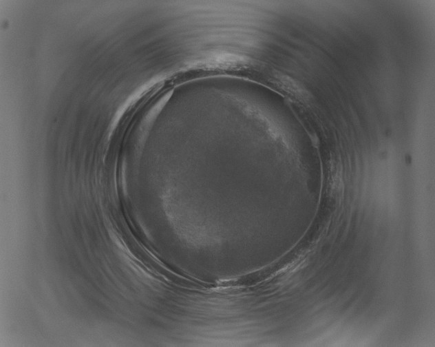 X0000056330392200508291257