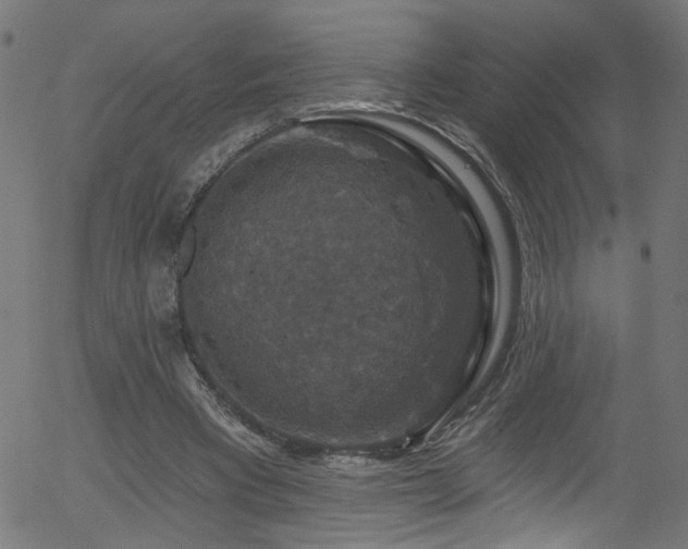 X0000056330393200508291257