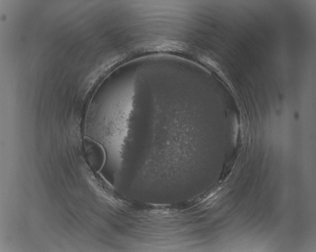 X0000056330394200508291257