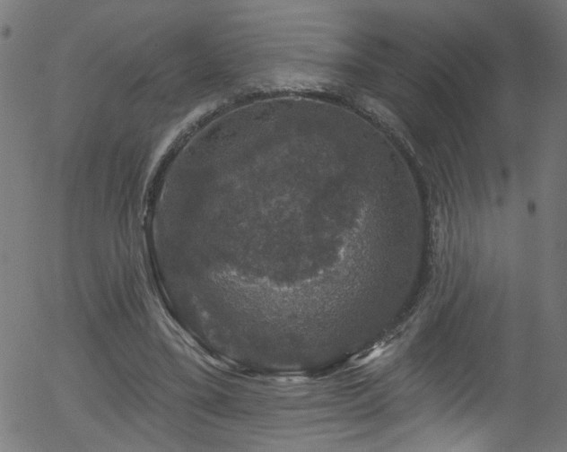 X0000056330395200508291257