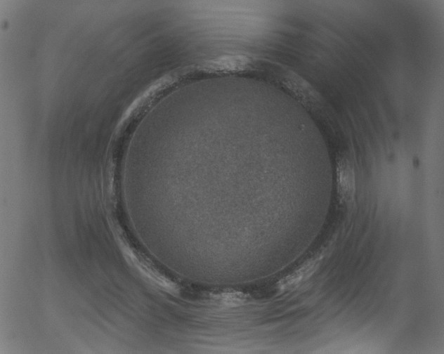 X0000056330396200508291257