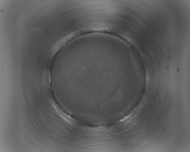 X0000056330397200508291257