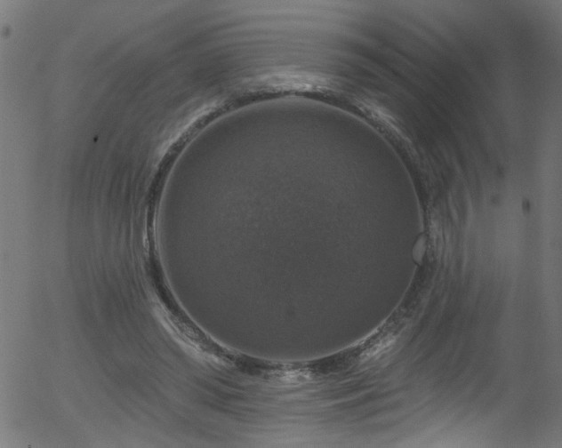 X0000056330398200508291257