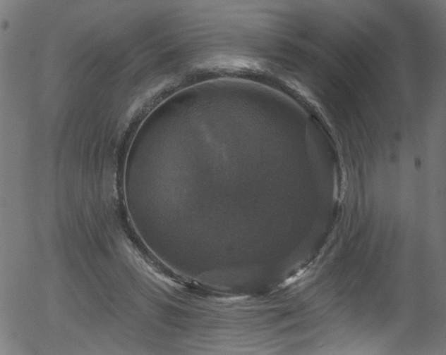 X0000056330399200508291257