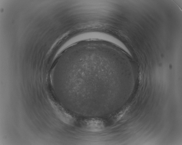 X0000056330400200508291257