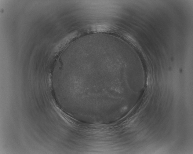 X0000056330401200508291257