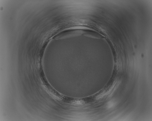 X0000056330402200508291257