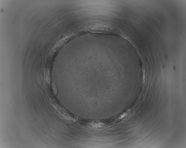 X0000056330403200508291257