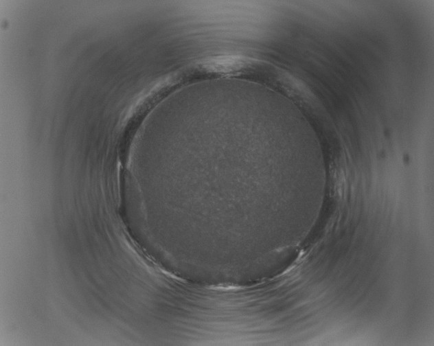 X0000056330404200508291257