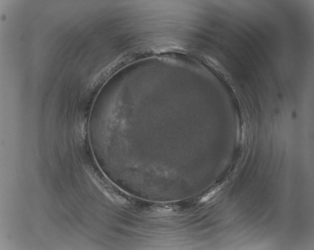 X0000056330405200508291257