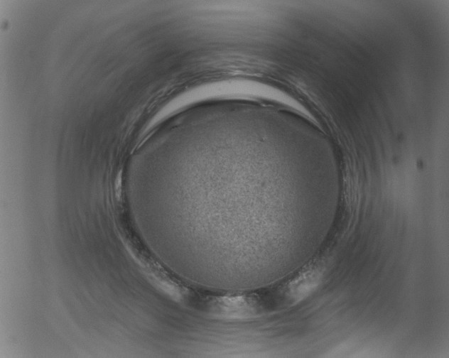 X0000056330406200508291257