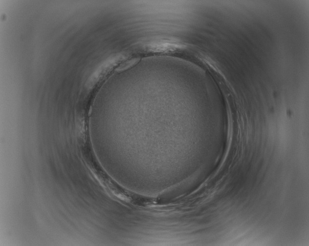 X0000056330407200508291257