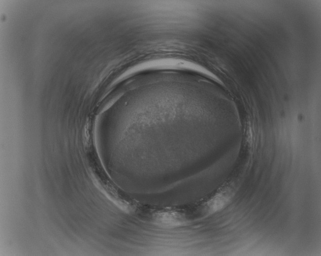 X0000056330408200508291257