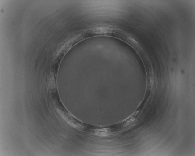 X0000056330411200508291257