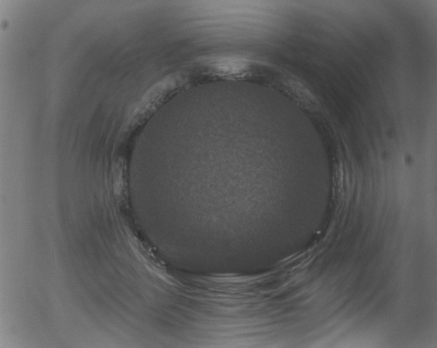 X0000056330412200508291257