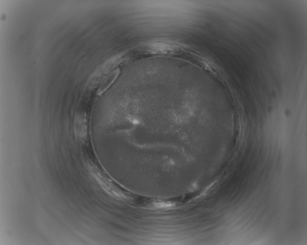 X0000056330413200508291257