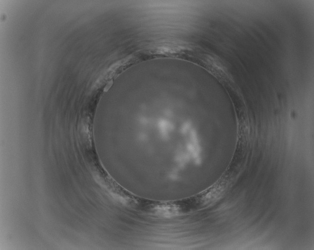 X0000056330415200508291257