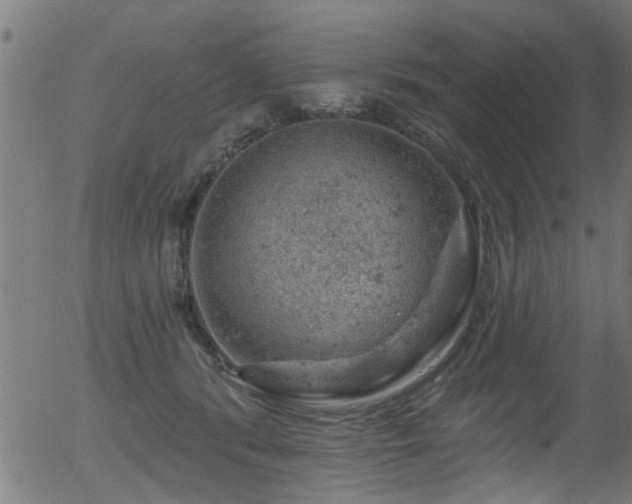 X0000056330416200508291257