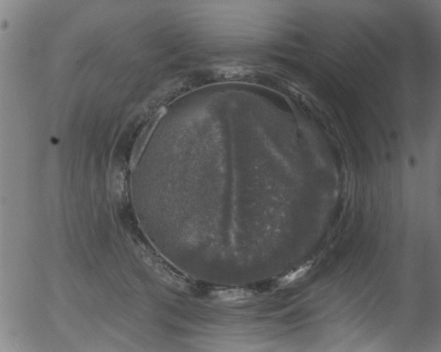 X0000056330417200508291257