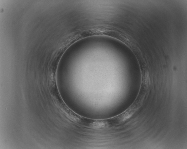 X0000056330418200508291257