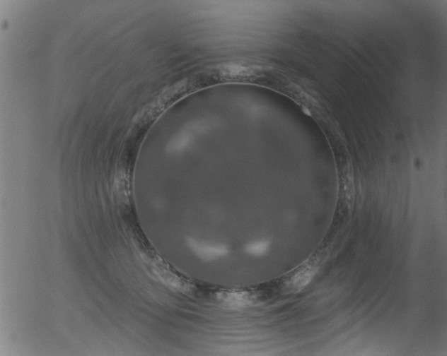 X0000056330419200508291257