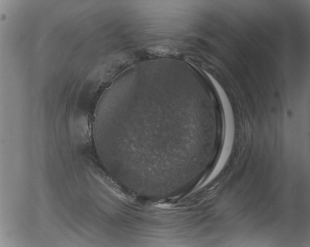 X0000056330420200508291257