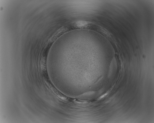 X0000056330421200508291257