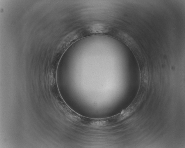 X0000056330422200508291257