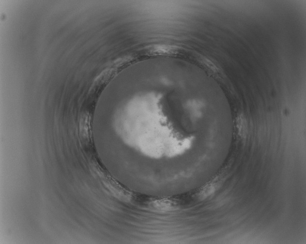 X0000056330423200508291257