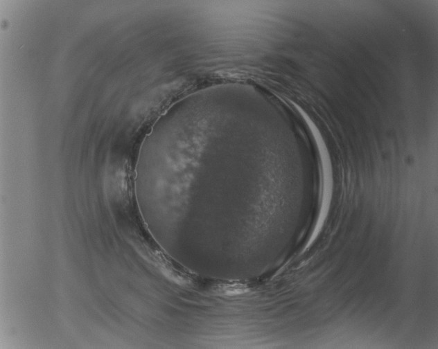 X0000056330424200508291257