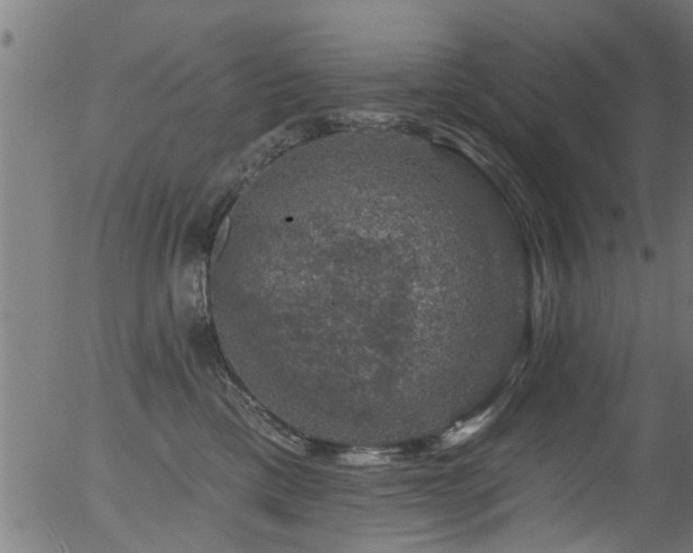 X0000056330425200508291257