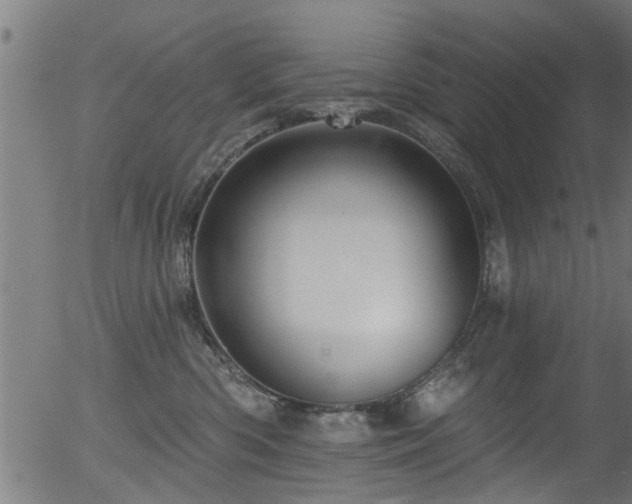 X0000056330426200508291257