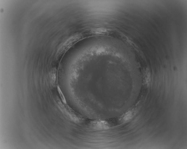 X0000056330427200508291257