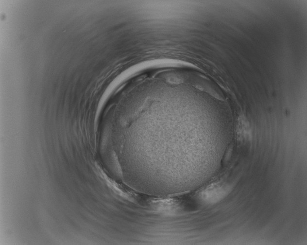 X0000056330428200508291257