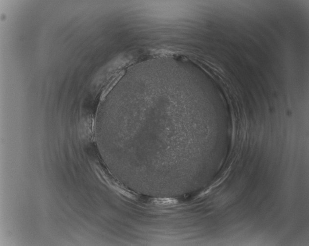 X0000056330429200508291257