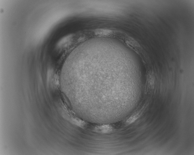 X0000056330431200508291257