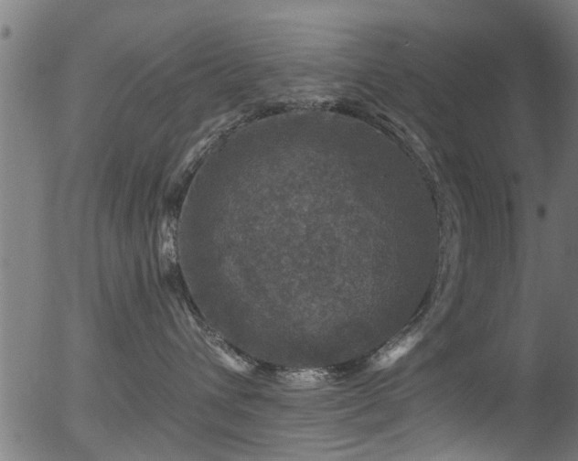 X0000056330432200508291257