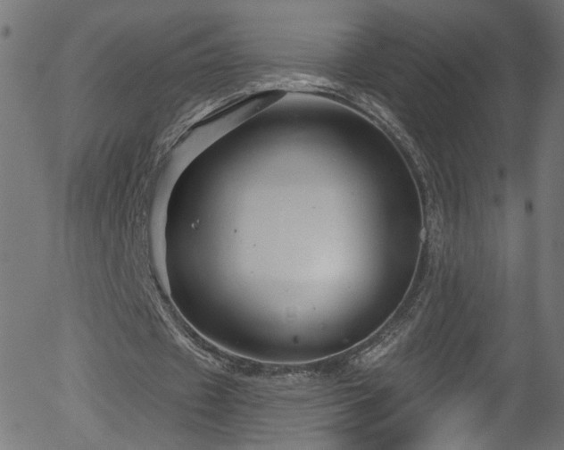 X0000056330433200508291256