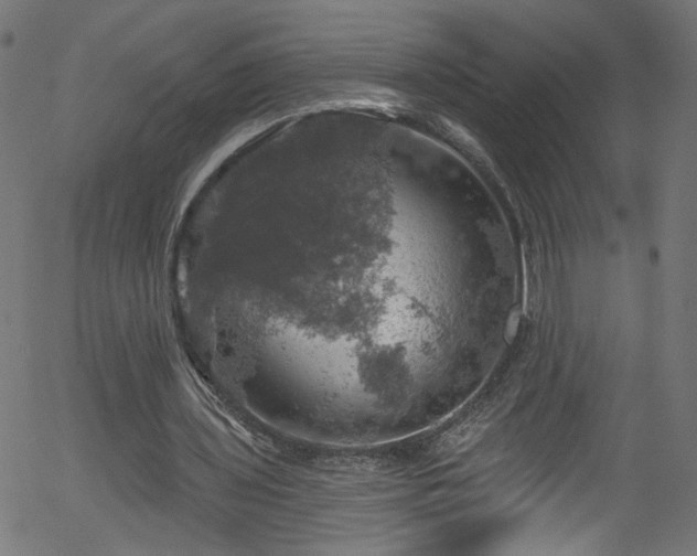 X0000056330435200508291256