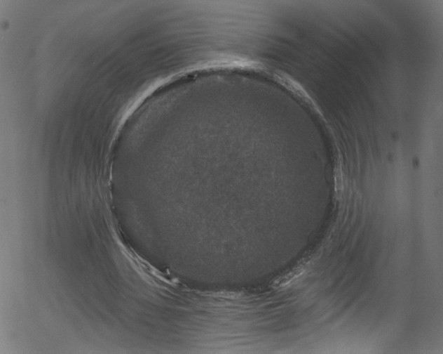 X0000056330436200508291256