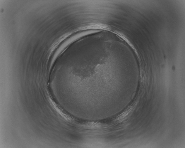 X0000056330437200508291256