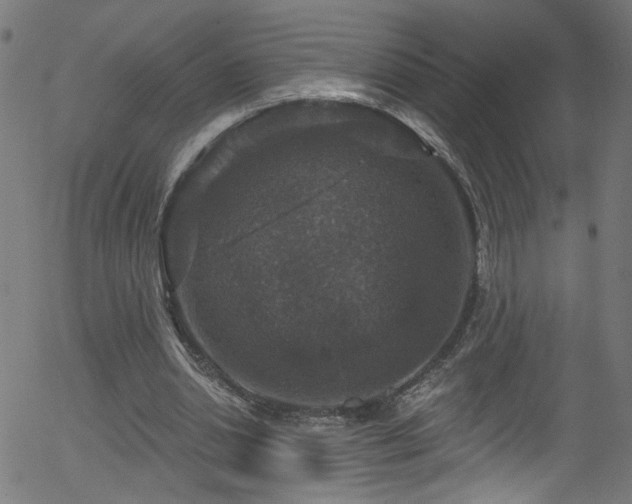 X0000056330438200508291256