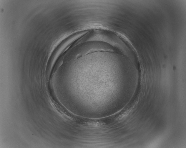 X0000056330439200508291256