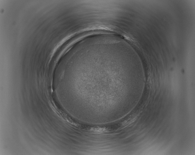 X0000056330440200508291256