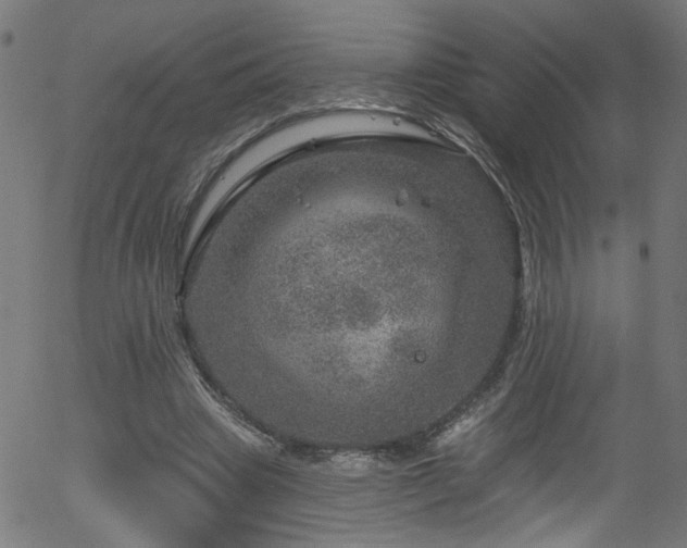 X0000056330441200508291256